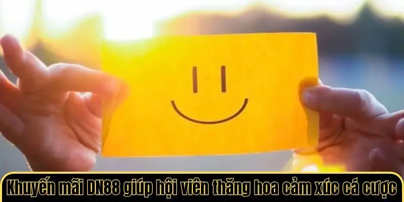 Khuyến mãi DN88 giúp hội viên thăng hoa cảm xúc cá cược