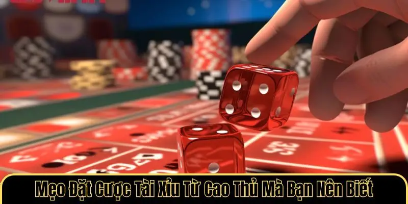 Mẹo Đặt Cược Tài Xỉu