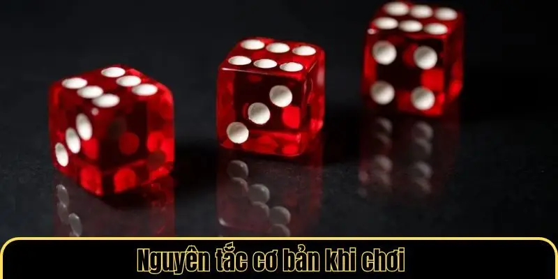 Nguyên tắc cơ bản khi chơi